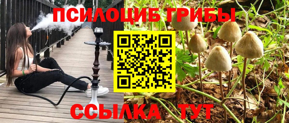 Хабаровск  Галлюциногенные грибы Psilocybine cubensis  Вход с VPN 